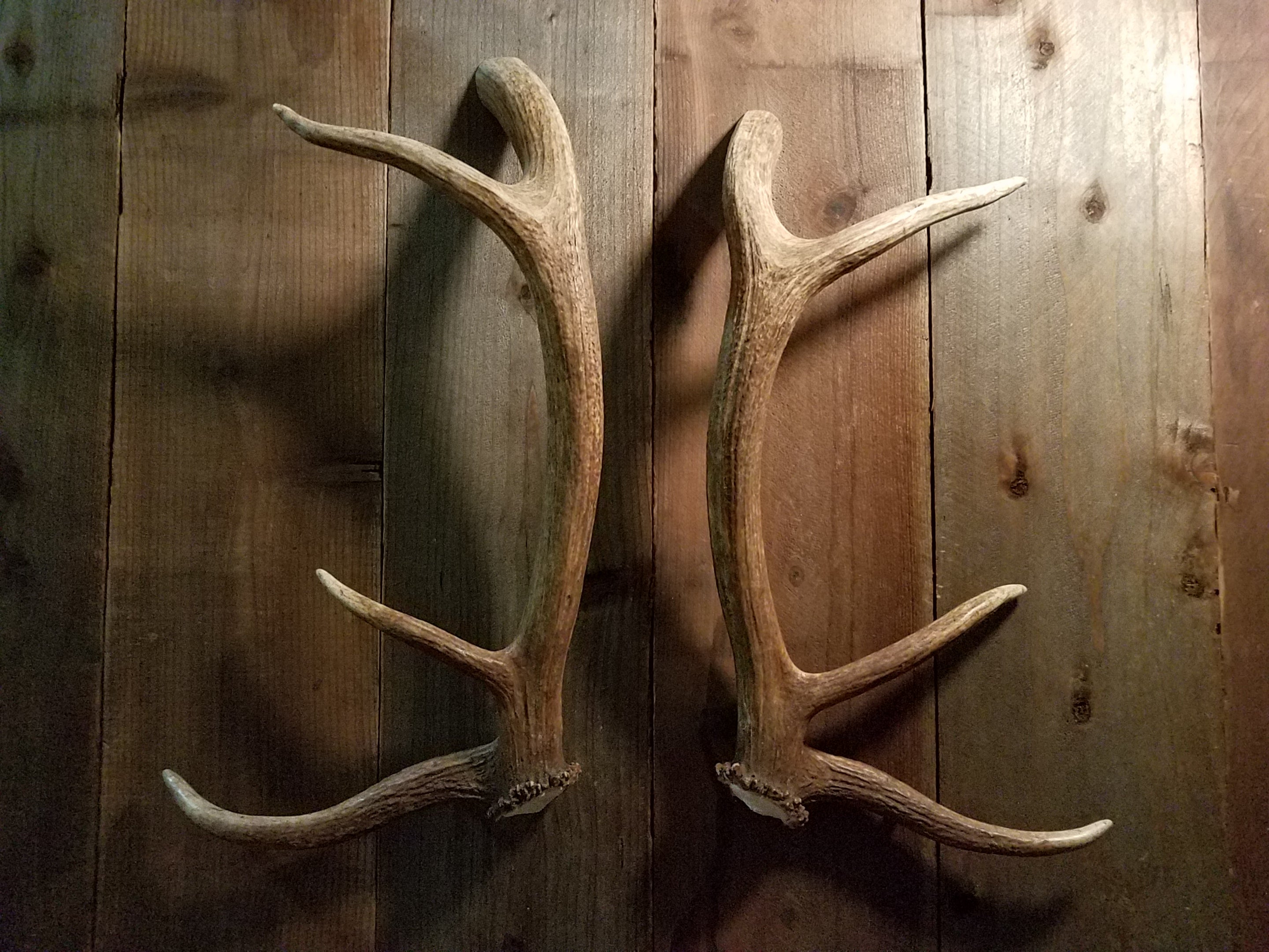 Elk Antler Door Handle Set by Antler Artisans