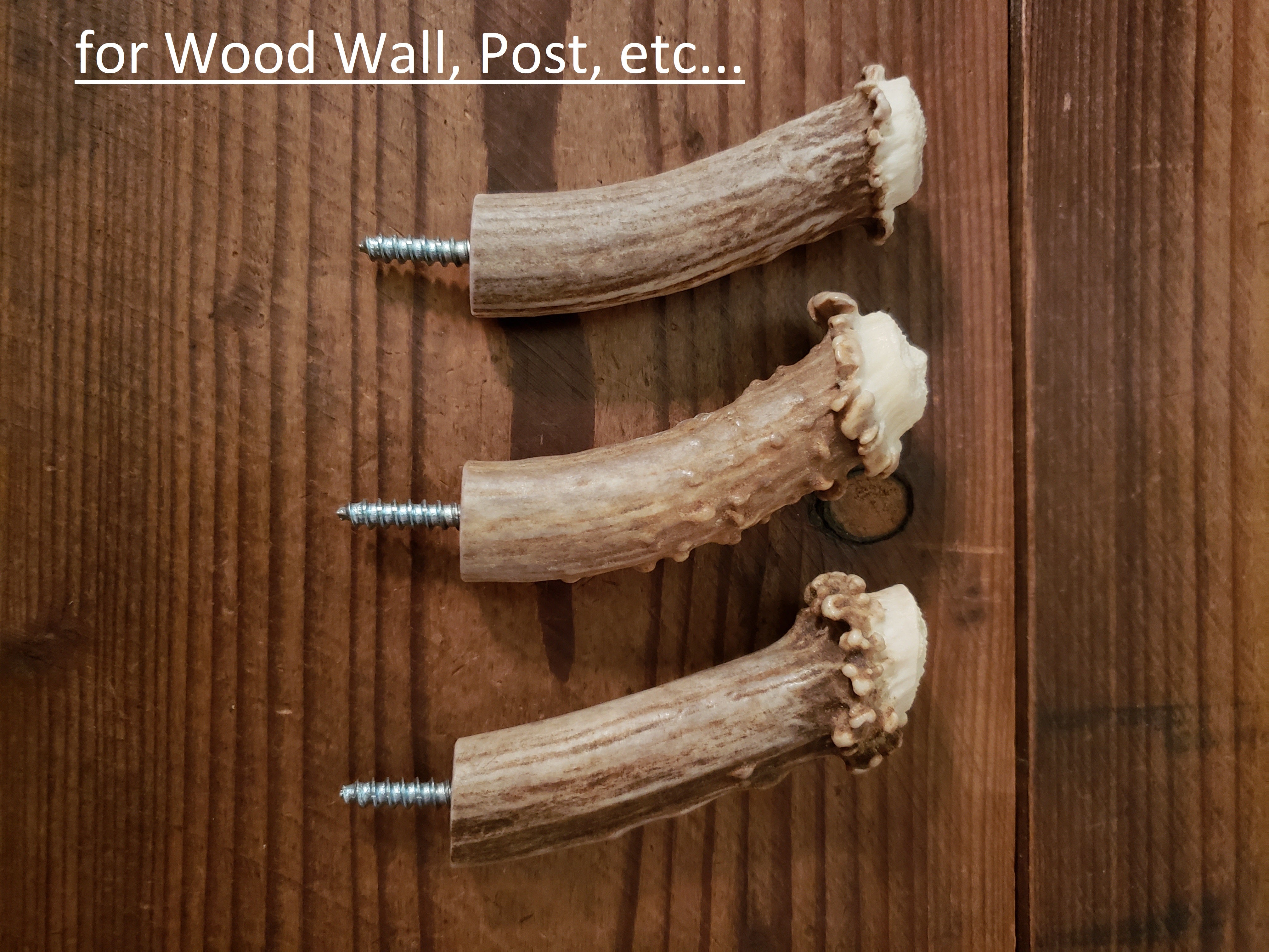 Antler Crown Wall Hooks for Wood
