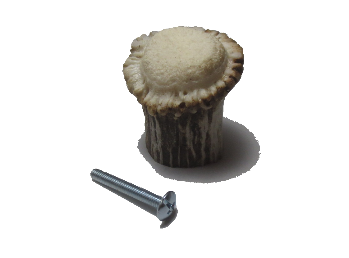 Shed Antler Crown Pull / Knob by Antler Artisans