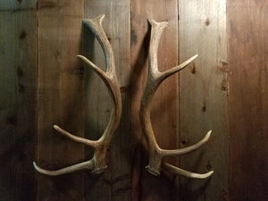 5 x 5 Elk Antler Door Handle Set by Antler Artisans