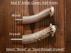 Antler Wall Hooks for Wood and Drywall