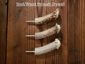Antler Crown Wall Hooks for Drywall
